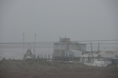 January 14, 2013 #249 - Foggy river morning