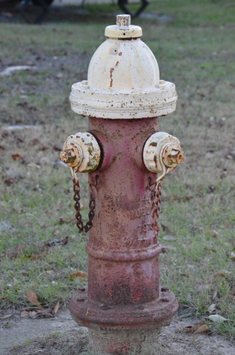 January 17, 2013 #252 - Fire Hydrant