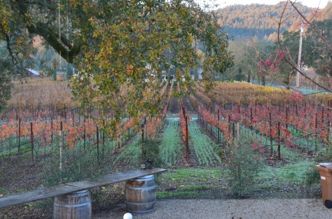 November 23, 2012 #198 - Napa Vineyards