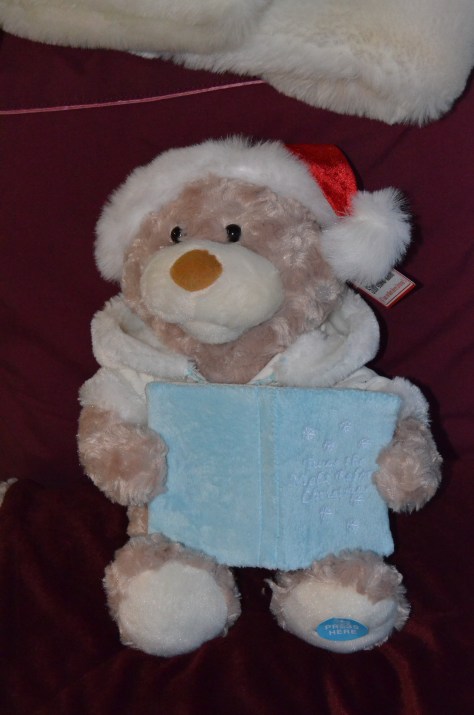 November 30, 2012 #205 - Christmas bear 