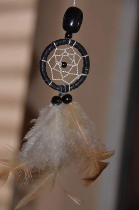 February 4, 2013 #270 - Dreamcatcher