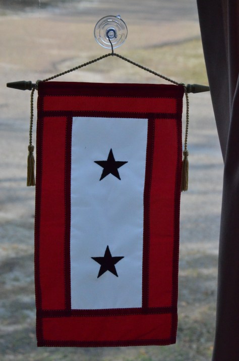 March1, 2013 #294 - Blue Star Flag