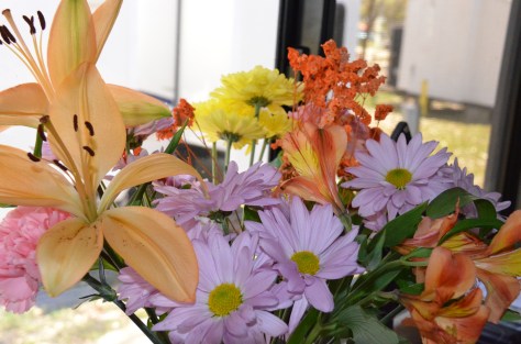 March 16, 2013 #309 - Spring flowers