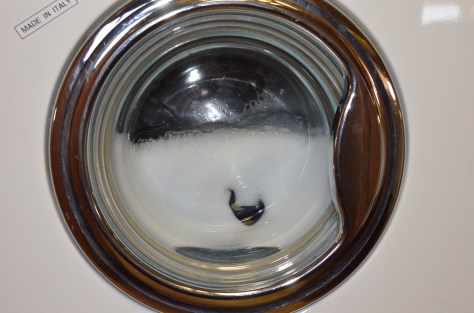 April 11, 2013 #335 - Washday