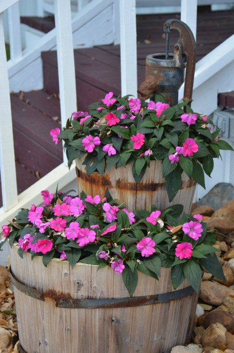 April 25, 2013 #349 - Water pump flowers