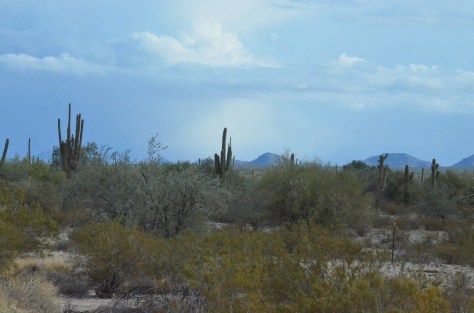 Still on I-8 in Arizona...I love the landscape.