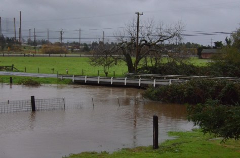 December 23, 2012 - Petaluma KOA Campground...big storm, river running high