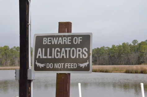 This is also right out my front door