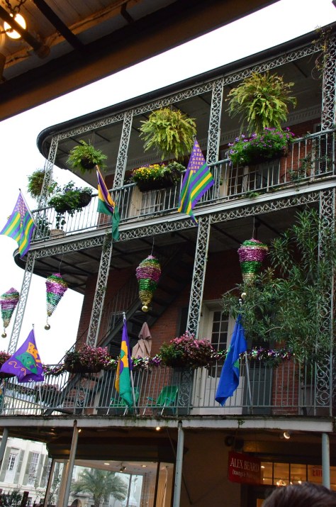 this one is ready for Mardi Gras