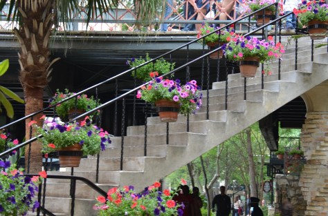 Beautiful flowers on the stairs.
