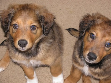 Sitting pretty...for just a minute.