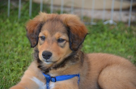 Sarah...sitting pretty