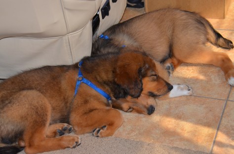 Always love sleeping babies