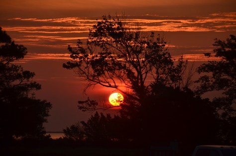 Beautiful sunrise - Eastern Shore, VA