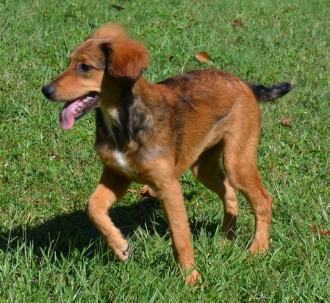 Abigail at 4 months old