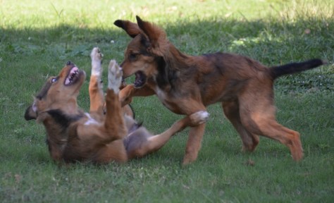 Gottcha...having a good time