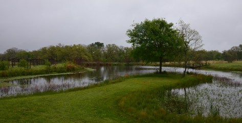 The pond...to view while drinking wine.