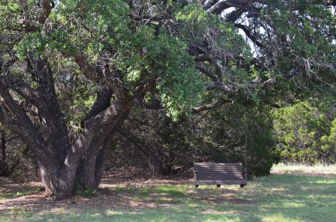 Great swing to enjoy