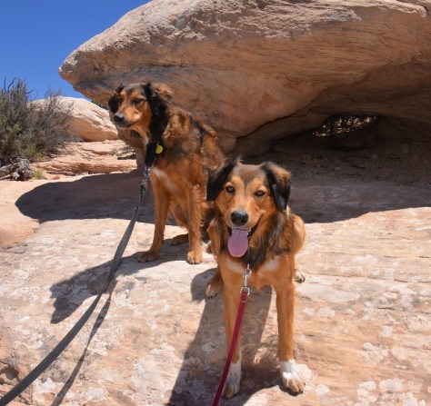 The girls - We are trying to get them to sit...but people are coming up the trail